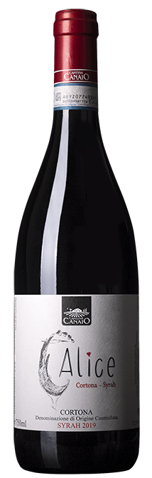Cortona DOC Syrah Il Calice 2022 - Cantina Canaio